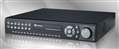 Everfocus ENDEAVOR-264L4
